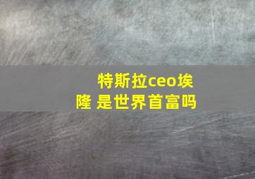 特斯拉ceo埃隆 是世界首富吗